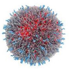 Nanoparticle