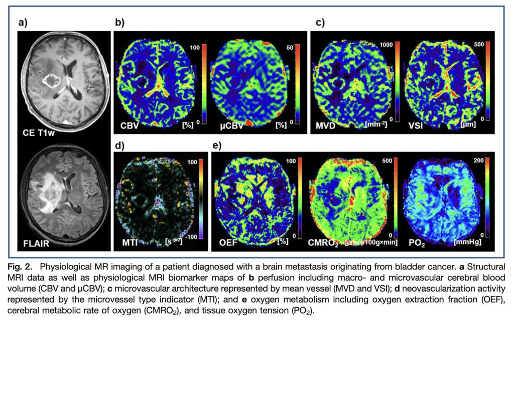 Wmis Graphics WMIC 2022 Highlights | World Molecular Imaging Society